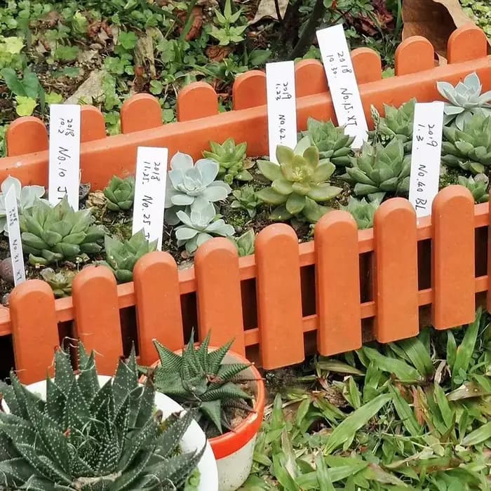 Étiquette de fleur étanche en plastique, 100 pièces, marque de type T, étiquette de jardinage, pour