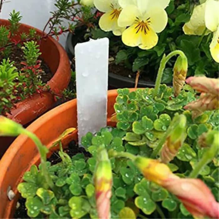 Étiquettes de plantes de jardin, 100 pièces, accessoires de plantes, Pots de fleurs, étiquettes de p