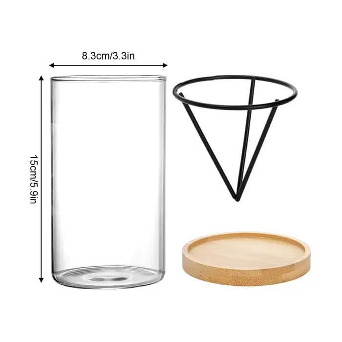 1 ensemble de Kits de culture d'arbre d'avocat, Vase de graines d'avocat en verre hydroponique avec