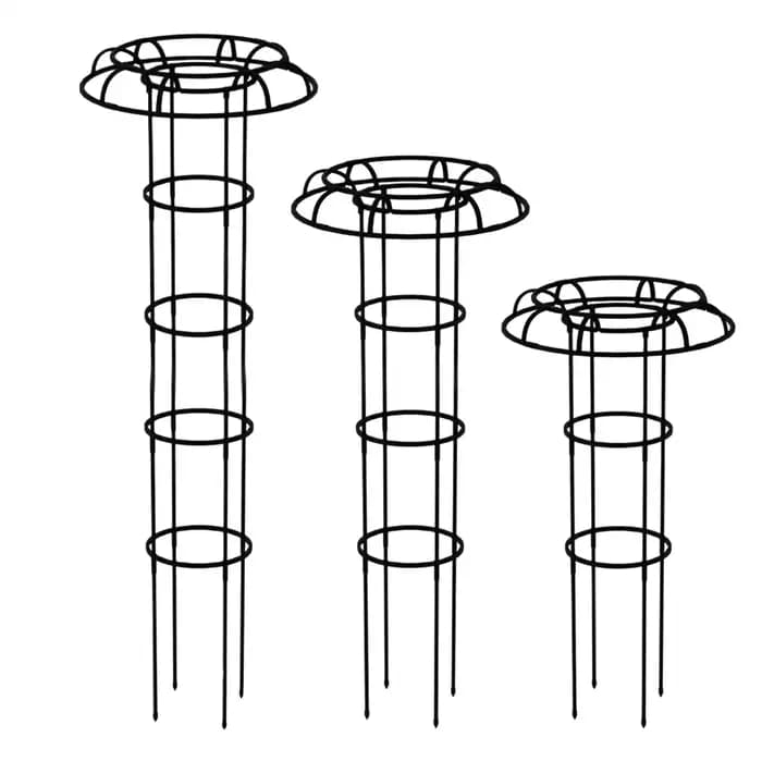 Treillis de jardin pour plantes grimpantes, treillis en forme de parapluie, support pour plantes vin