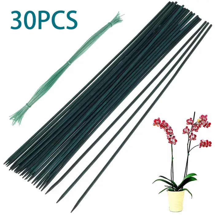 30 pièces bambou vert bâtons plante Support fleur bâton orchidée tige plante bâtons pour soutenir pl