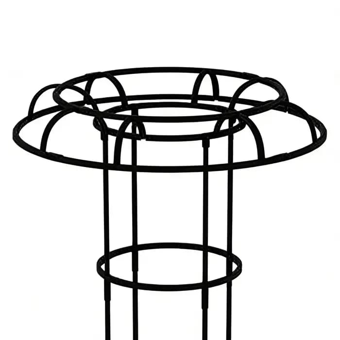 Treillis de jardin pour plantes grimpantes, treillis en forme de parapluie, support pour plantes vin