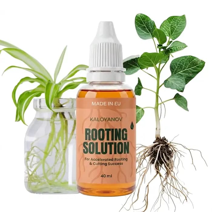 Root Drops Hormone d'enracinement liquide pour les boutures | Gouttes de propagation rapide pour t