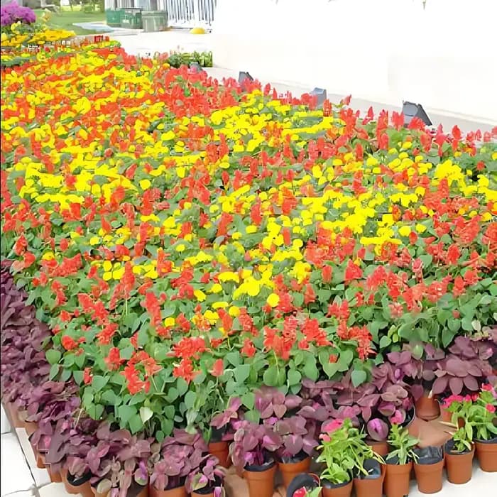 Pot de pépinière en plastique, 20 pièces/50 pièces, Pot de démarrage de graines, conteneur de plante
