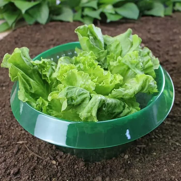 Collier d'escargot réutilisable, 10 pièces, anneaux de couverture agricole pour économiser l'eau, ac