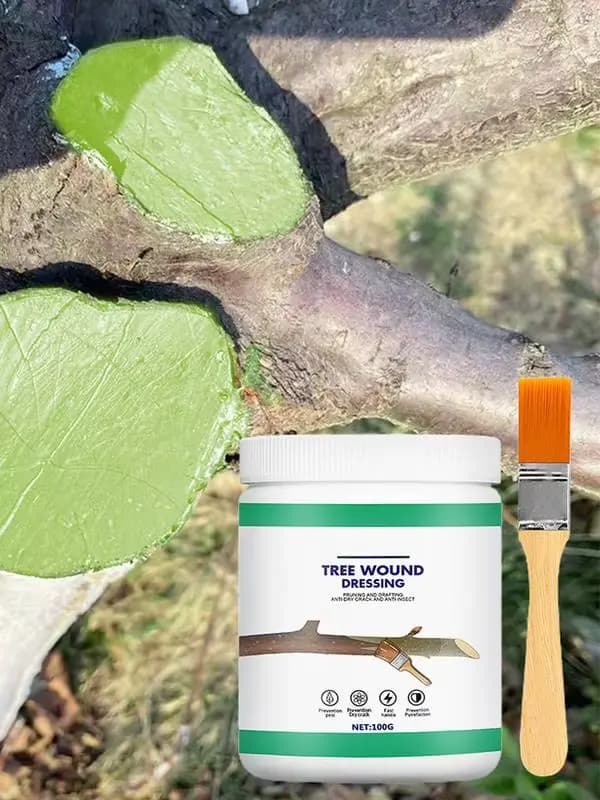 Pâte de greffage d'arbre 100g, pâte pour plaies d'arbre, Agent de frottis, scellant pour l'élagage d