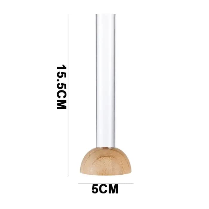 Vase Hydroponique Transparent avec Base en Bambou