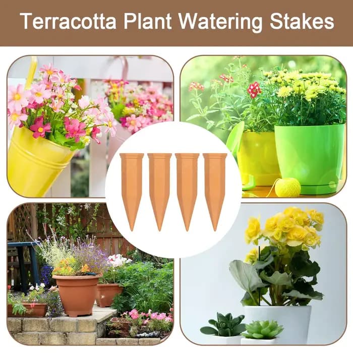 Pointes d'Arrosage existent pour Plantes en Terre Cuite
