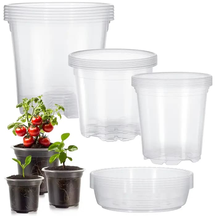 Lot de 5 pots de fleurs transparents en plastique avec soucoupes