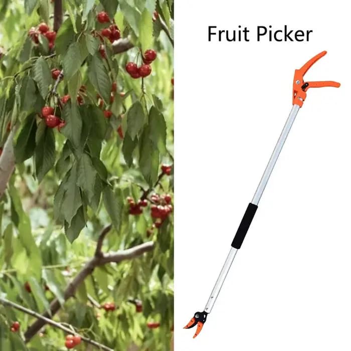 Sécateur de poteau télescopique pour la taille des branches hautes