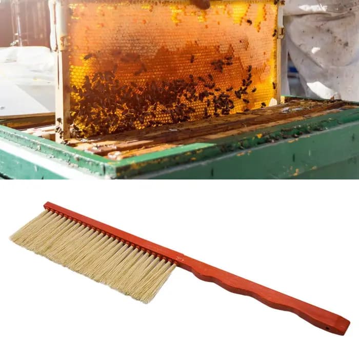 Kit d'outils d'apiculture 3-en-1 : Brosse à abeilles
