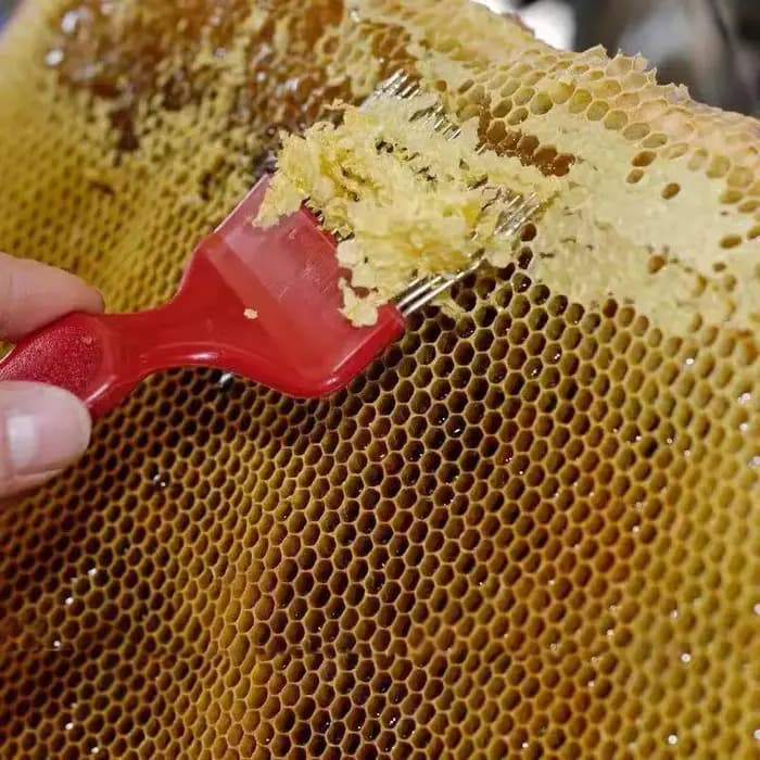 Kit d'outils d'apiculture 3-en-1 : Brosse à abeilles