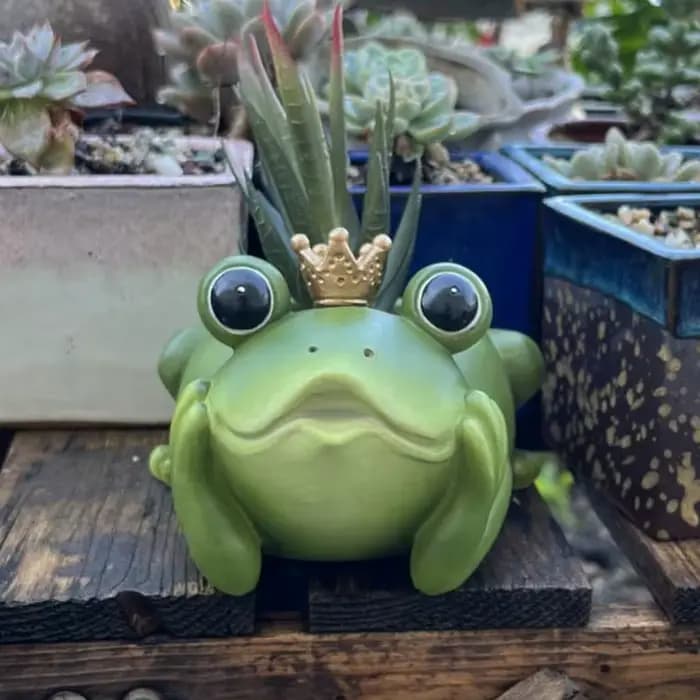 Jardinière de grenouille avec couronne
