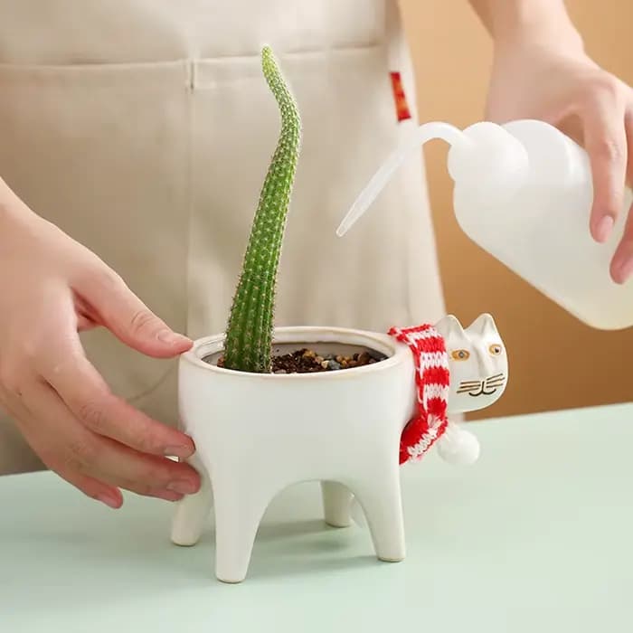 Pot de plante en forme de chat mignon en T pour salle de bain