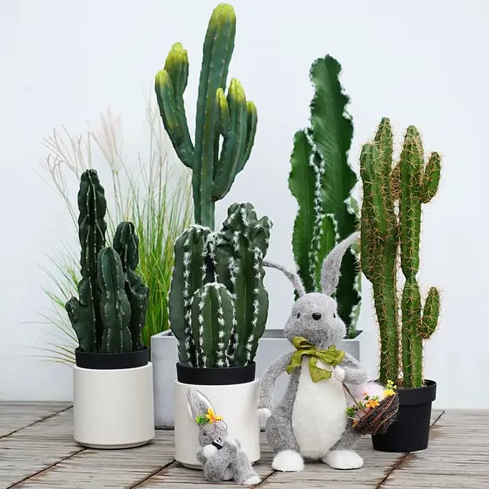 Plante succulente verte tropicale artificielle