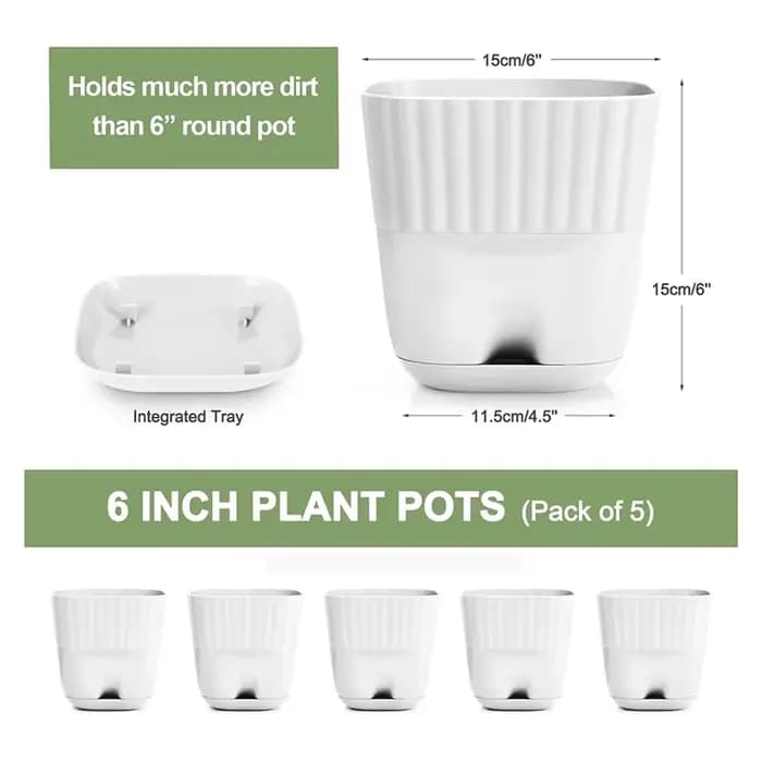 Pots de fleurs 6 pouces