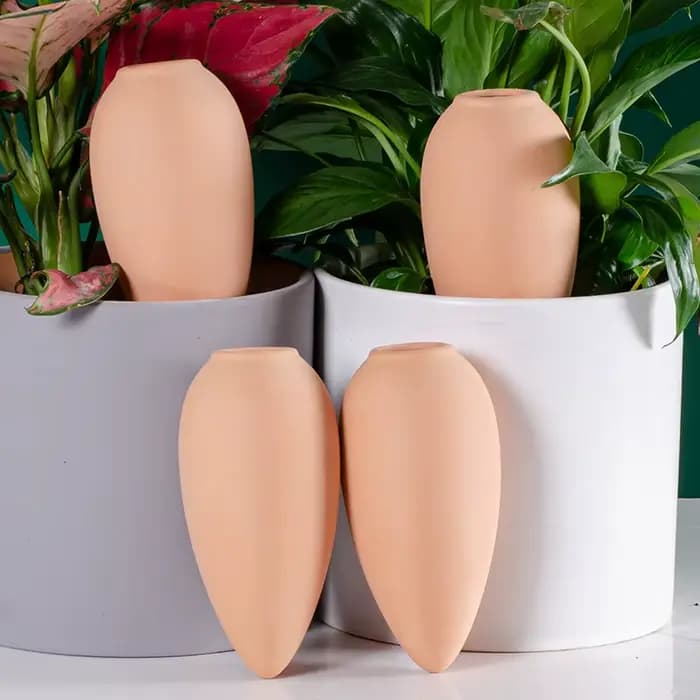 Globes d'arrosage en terre cuite - Insert pour pot auto-arrosant - Dispositifs