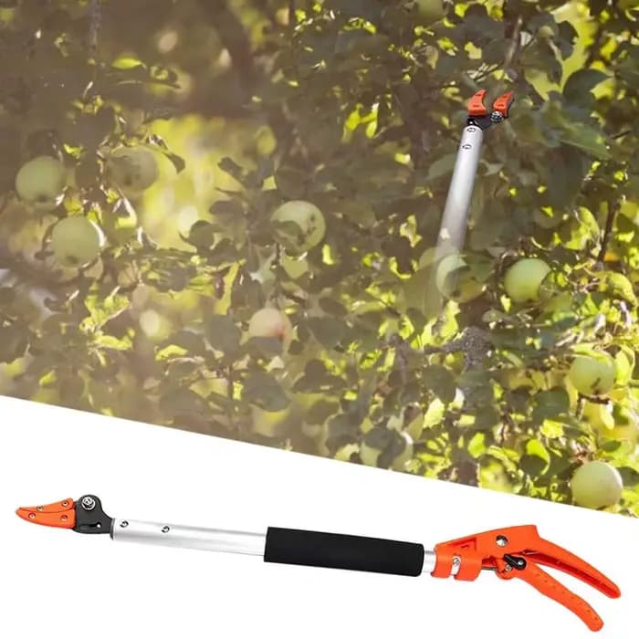 Sécateur de poteau télescopique pour la taille des branches hautes