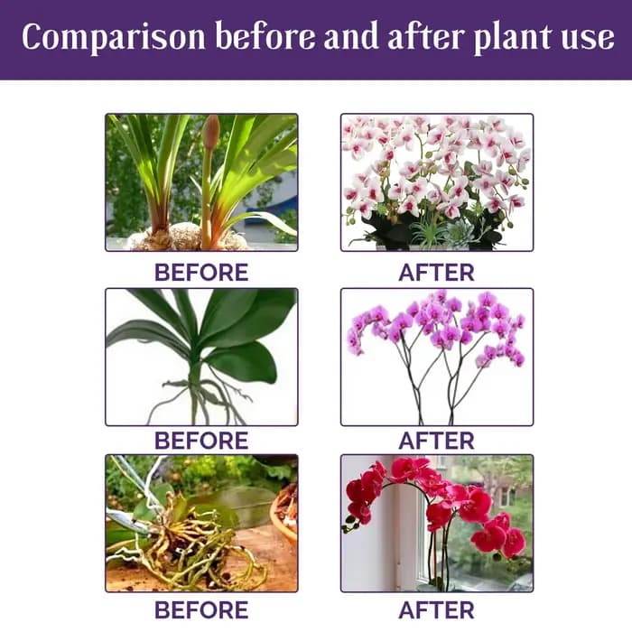 Engrais liquide spécial pour fleurs d'orchidées, supplément composé de nutrition pour la croissance des plantes de jardin hydroponique pour plantes d'intérieur en fleurs