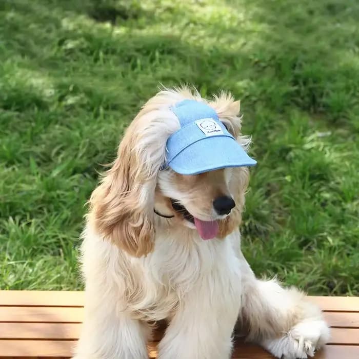 Casquette pour chien avec trous pour les oreilles, réglable, en jean, protection solaire, casquette de baseball pour chiens, accessoires pour animaux de compagnie de petite, moyenne et grande taille