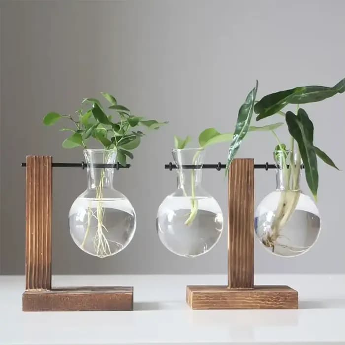Pot de fleur Vintage, cadre en bois Transparent