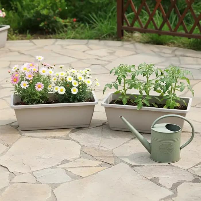 Pot de fleurs auto-absorbant pour légumes