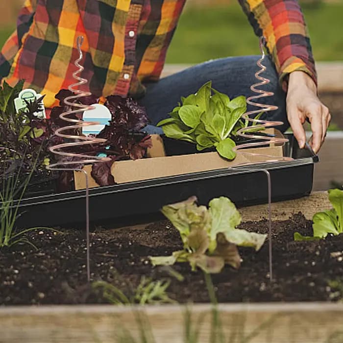 Antenne de jardinage en cuivre pour électroculture, 6 pièces, bobine de cuivre pour plantes d'extérieur, avec picots de support stables pour la culture
