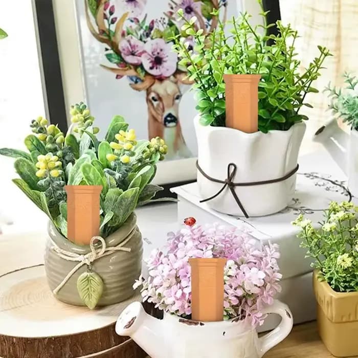 Pointes d'Arrosage existent pour Plantes en Terre Cuite