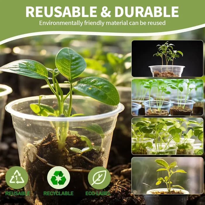 Lot de 5 pots de fleurs transparents en plastique avec soucoupes