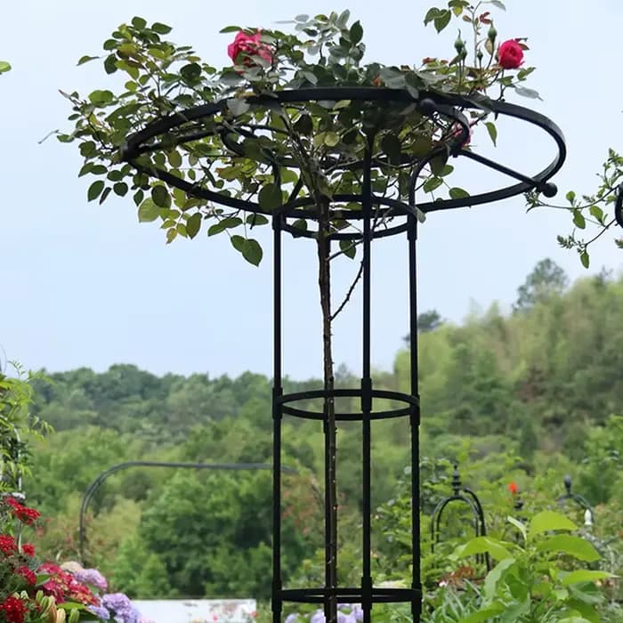 Treillis de Jardin pour Plantes Grimpantes