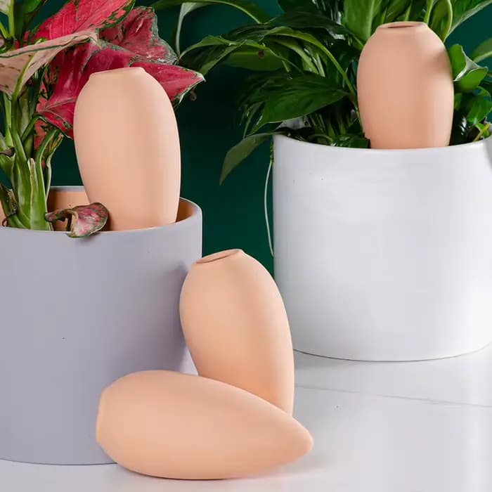 Globes d'arrosage en terre cuite - Insert pour pot auto-arrosant - Dispositifs