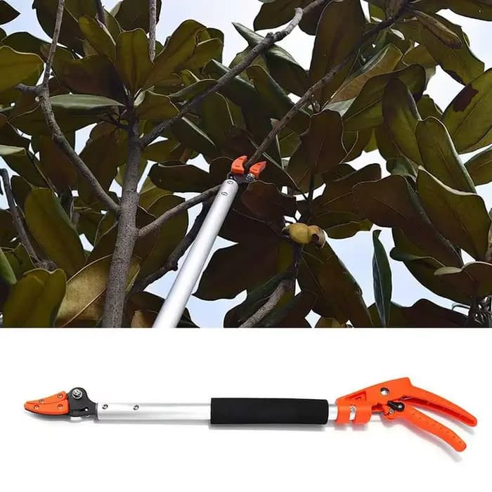 Sécateur de poteau télescopique pour la taille des branches hautes