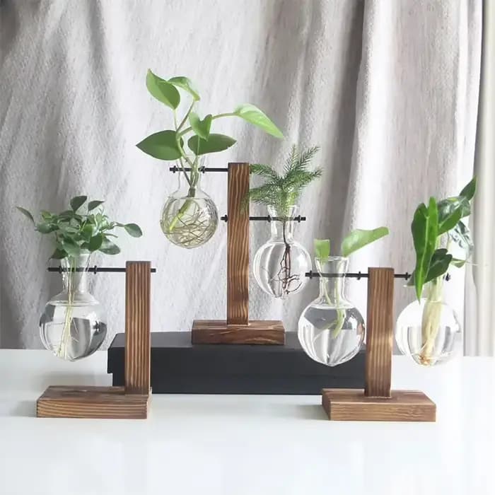 Pot de fleur Vintage, cadre en bois Transparent