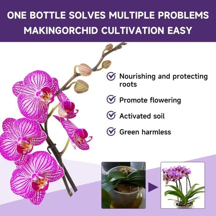 Engrais liquide spécial pour fleurs d'orchidées, supplément composé de nutrition pour la croissance des plantes de jardin hydroponique pour plantes d'intérieur en fleurs