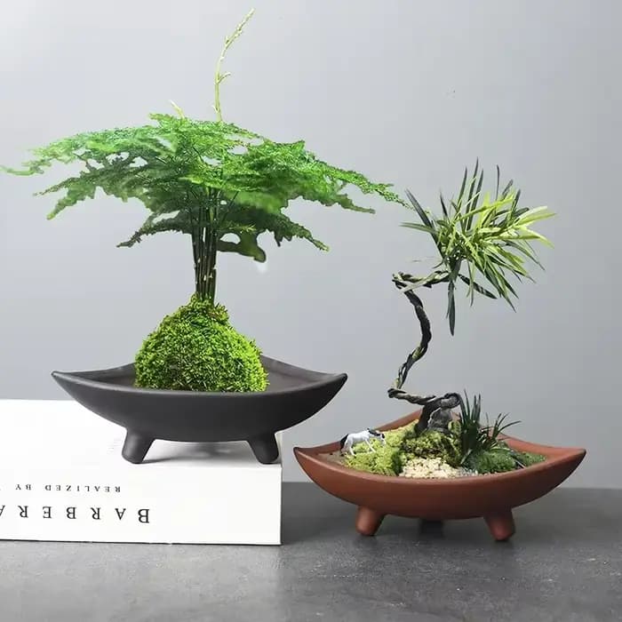 Pots de fleurs en céramique personnalisés pour bambou