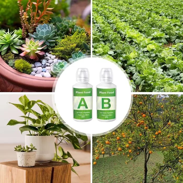 Engrais hydroponique A et B pour plantes de jardin