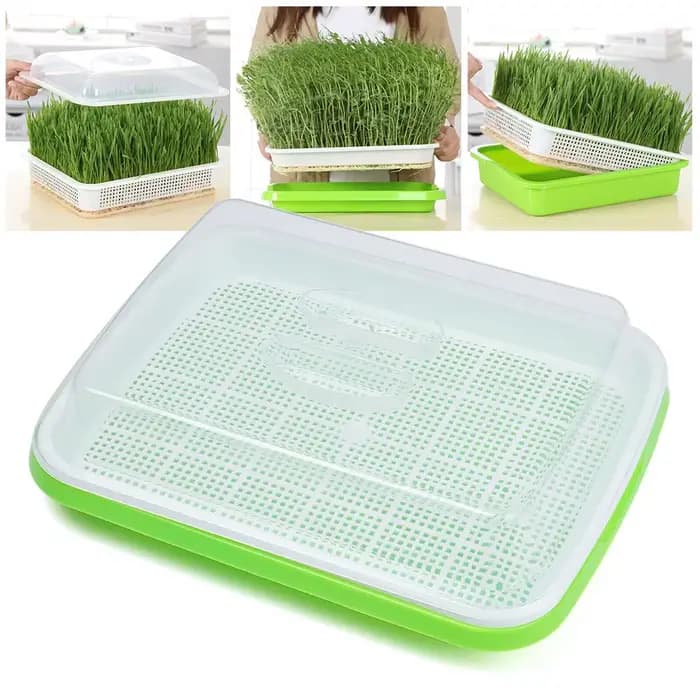 Plateau de culture hydroponique en papier pour pépinière