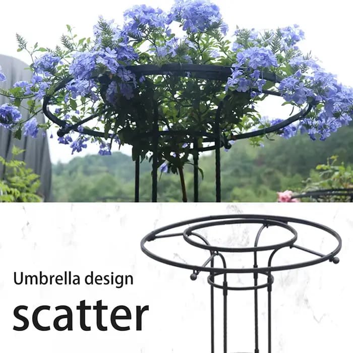 Treillis de Jardin pour Plantes Grimpantes