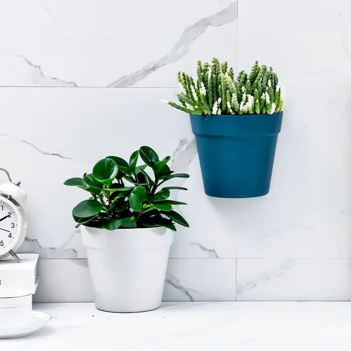 Pots de fleurs muraux en plastique pour la décoration intérieure, jardinière semi-circulaire, ornement de balcon, fournitures de jardin