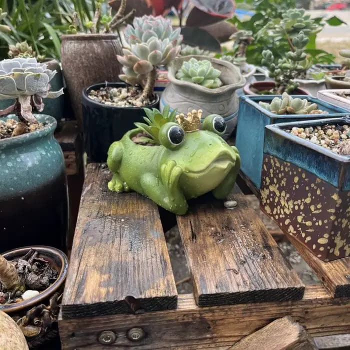 Jardinière de grenouille avec couronne