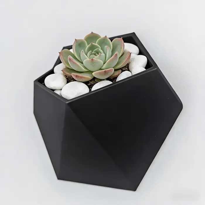 Le pot de fleurs hexagonal noir à fixer au mur a un design simple et unique. Sa structure perforée facilite l'installation et est robuste.