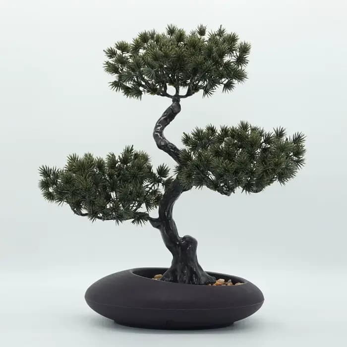 Simulation d'arbres de pin