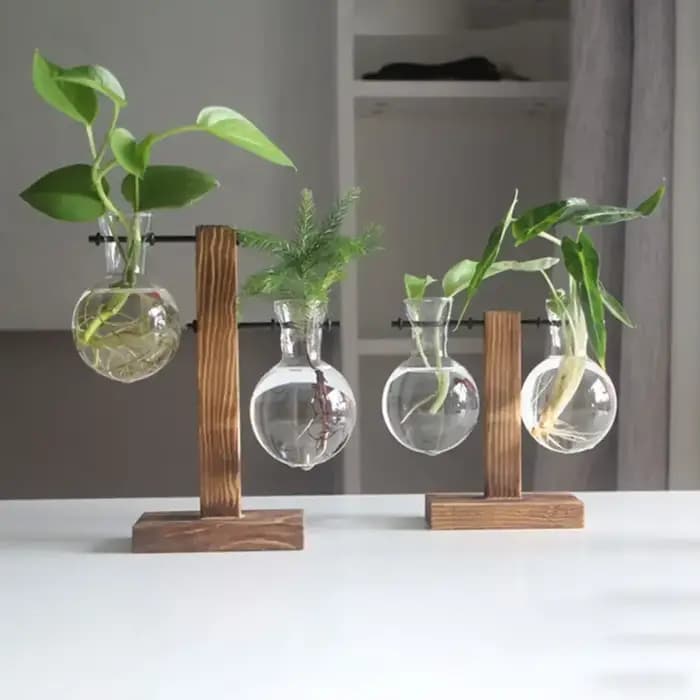 Pot de fleur Vintage, cadre en bois Transparent