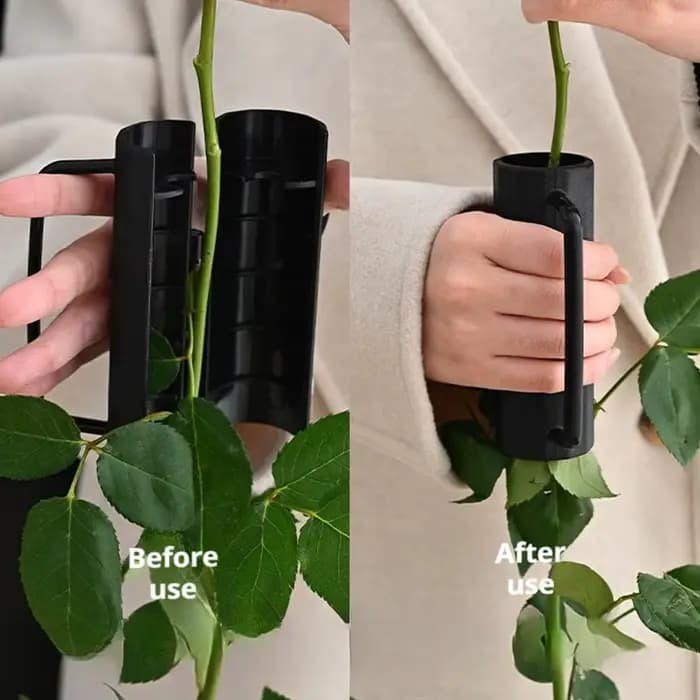 Outil de fleuriste dissolvant d'épines de roses et tondeuse à tiges