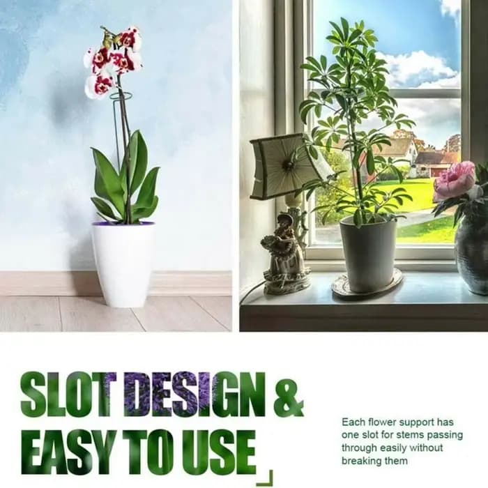 Bâtons de Support pour plantes grimpantes en pot