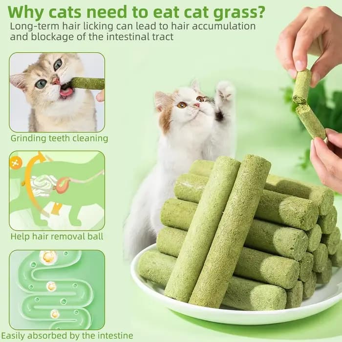 Lot de 60 bâtonnets de herbe naturelle pour chat, friandises pour l'élimination des boules de poils, jouets à mâcher au poulet et à la catnip pour le nettoyage des dents, friandises pour chatons