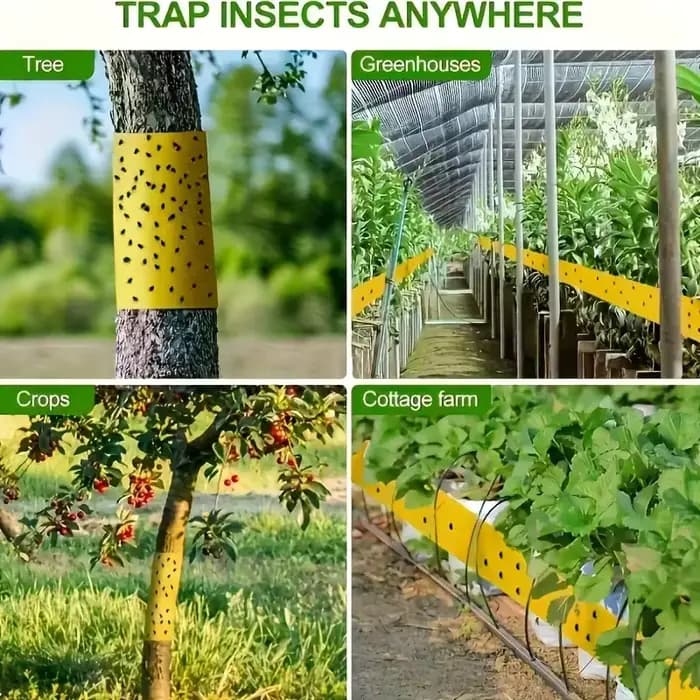 1 rouleau de ruban anti-insectes jaune double face pour empêcher les insectes