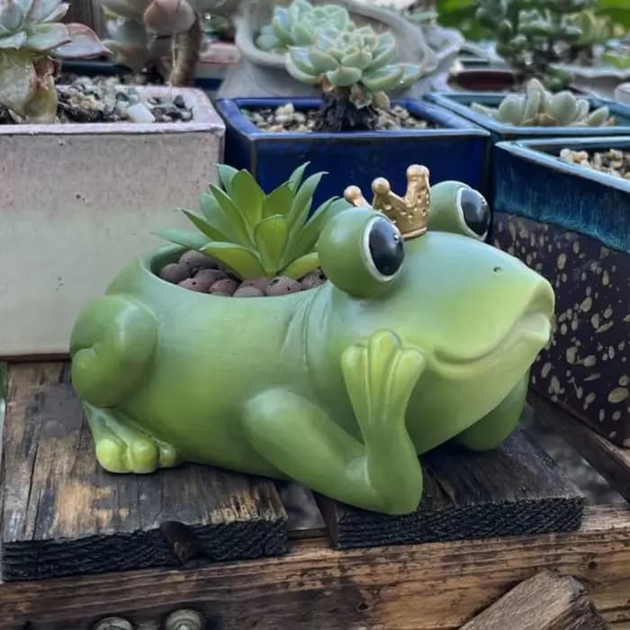 Jardinière de grenouille avec couronne