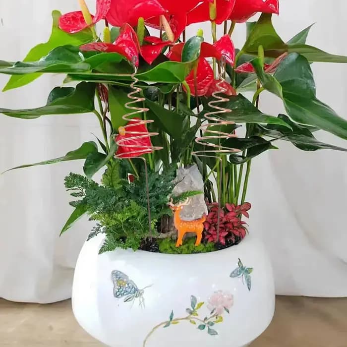 Antenne de jardinage en cuivre pour électroculture, 6 pièces, bobine de cuivre pour plantes d'extérieur, avec picots de support stables pour la culture
