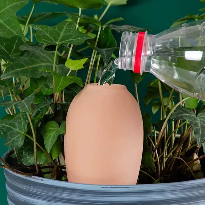 Globes d'arrosage en terre cuite - Insert pour pot auto-arrosant - Dispositifs